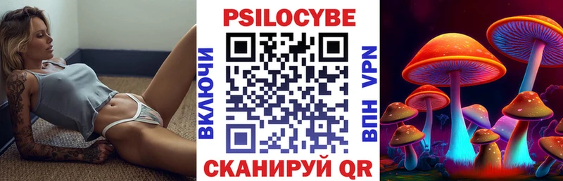 Галлюциногенные грибы мицелий Апатиты